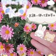 ヒメ日記 2025/07/10 14:47 投稿 みゆ 熟女の風俗最終章 蒲田店