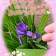 ヒメ日記 2025/07/11 13:30 投稿 みゆ 熟女の風俗最終章 蒲田店