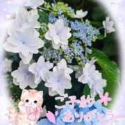 ヒメ日記 2025/07/11 13:50 投稿 みゆ 熟女の風俗最終章 蒲田店