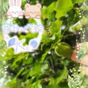 ヒメ日記 2025/07/14 18:24 投稿 みゆ 熟女の風俗最終章 蒲田店