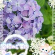 ヒメ日記 2025/07/15 15:26 投稿 みゆ 熟女の風俗最終章 蒲田店