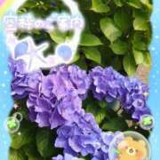 ヒメ日記 2025/07/15 18:01 投稿 みゆ 熟女の風俗最終章 蒲田店