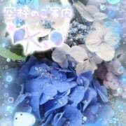 ヒメ日記 2025/07/17 15:30 投稿 みゆ 熟女の風俗最終章 蒲田店