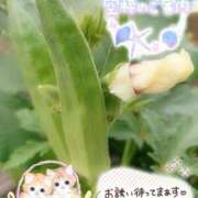 ヒメ日記 2025/07/26 13:52 投稿 みゆ 熟女の風俗最終章 蒲田店