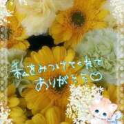 ヒメ日記 2025/07/28 02:40 投稿 みゆ 熟女の風俗最終章 蒲田店