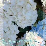 ヒメ日記 2025/07/28 02:50 投稿 みゆ 熟女の風俗最終章 蒲田店