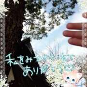 ヒメ日記 2025/07/28 03:02 投稿 みゆ 熟女の風俗最終章 蒲田店