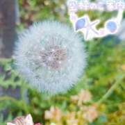 ヒメ日記 2025/07/28 15:33 投稿 みゆ 熟女の風俗最終章 蒲田店