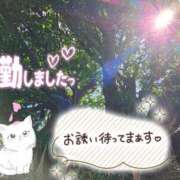 ヒメ日記 2025/07/28 16:55 投稿 みゆ 熟女の風俗最終章 蒲田店