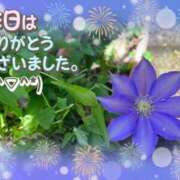 ヒメ日記 2025/08/01 16:20 投稿 みゆ 熟女の風俗最終章 蒲田店