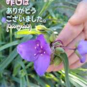 ヒメ日記 2025/08/01 16:31 投稿 みゆ 熟女の風俗最終章 蒲田店