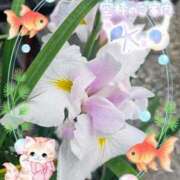 ヒメ日記 2025/08/03 15:50 投稿 みゆ 熟女の風俗最終章 蒲田店