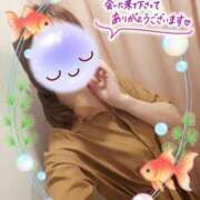 ヒメ日記 2025/08/03 23:16 投稿 みゆ 熟女の風俗最終章 蒲田店