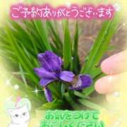 ヒメ日記 2025/08/04 14:30 投稿 みゆ 熟女の風俗最終章 蒲田店