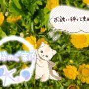 ヒメ日記 2025/08/04 14:50 投稿 みゆ 熟女の風俗最終章 蒲田店