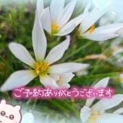 ヒメ日記 2025/08/08 13:40 投稿 みゆ 熟女の風俗最終章 蒲田店