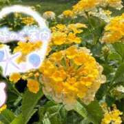 ヒメ日記 2025/08/09 16:00 投稿 みゆ 熟女の風俗最終章 蒲田店