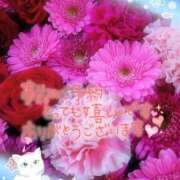 ヒメ日記 2025/08/12 13:54 投稿 みゆ 熟女の風俗最終章 蒲田店