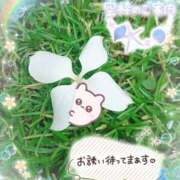 ヒメ日記 2025/08/14 14:53 投稿 みゆ 熟女の風俗最終章 蒲田店