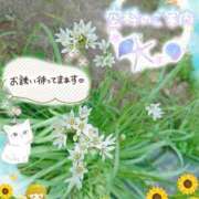 ヒメ日記 2025/08/15 16:27 投稿 みゆ 熟女の風俗最終章 蒲田店