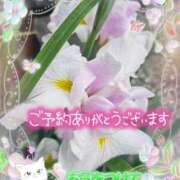 ヒメ日記 2025/08/27 14:09 投稿 みゆ 熟女の風俗最終章 蒲田店