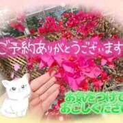 ヒメ日記 2025/08/27 14:20 投稿 みゆ 熟女の風俗最終章 蒲田店