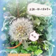 ヒメ日記 2025/08/31 17:50 投稿 みゆ 熟女の風俗最終章 蒲田店