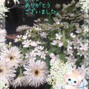 ヒメ日記 2025/09/01 16:31 投稿 みゆ 熟女の風俗最終章 蒲田店