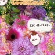 ヒメ日記 2025/09/02 15:51 投稿 みゆ 熟女の風俗最終章 蒲田店