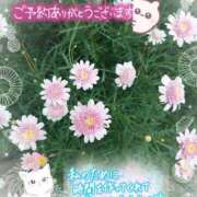 ヒメ日記 2025/09/03 15:20 投稿 みゆ 熟女の風俗最終章 蒲田店