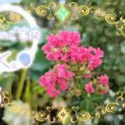 ヒメ日記 2025/09/04 13:30 投稿 みゆ 熟女の風俗最終章 蒲田店