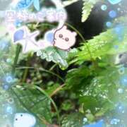 ヒメ日記 2025/09/05 14:20 投稿 みゆ 熟女の風俗最終章 蒲田店