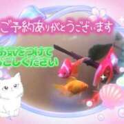 ヒメ日記 2025/09/07 16:01 投稿 みゆ 熟女の風俗最終章 蒲田店