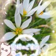 ヒメ日記 2025/09/08 14:56 投稿 みゆ 熟女の風俗最終章 蒲田店