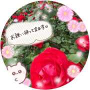 ヒメ日記 2025/09/08 19:00 投稿 みゆ 熟女の風俗最終章 蒲田店