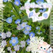 ヒメ日記 2025/09/09 13:50 投稿 みゆ 熟女の風俗最終章 蒲田店