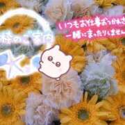 ヒメ日記 2025/09/11 14:22 投稿 みゆ 熟女の風俗最終章 蒲田店