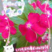 ヒメ日記 2025/09/12 16:50 投稿 みゆ 熟女の風俗最終章 蒲田店