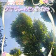 ヒメ日記 2025/09/24 01:50 投稿 みゆ 熟女の風俗最終章 蒲田店