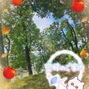 ヒメ日記 2025/09/24 15:40 投稿 みゆ 熟女の風俗最終章 蒲田店