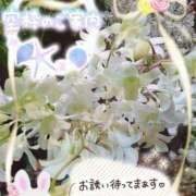 ヒメ日記 2025/09/26 14:20 投稿 みゆ 熟女の風俗最終章 蒲田店