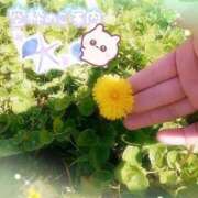 ヒメ日記 2025/09/28 15:27 投稿 みゆ 熟女の風俗最終章 蒲田店