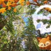 ヒメ日記 2025/10/03 10:38 投稿 みゆ 熟女の風俗最終章 蒲田店