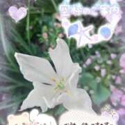 ヒメ日記 2025/10/04 14:20 投稿 みゆ 熟女の風俗最終章 蒲田店