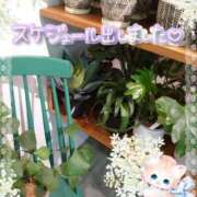 ヒメ日記 2025/10/05 04:20 投稿 みゆ 熟女の風俗最終章 蒲田店