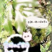 ヒメ日記 2025/10/06 16:30 投稿 みゆ 熟女の風俗最終章 蒲田店