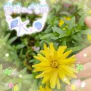 ヒメ日記 2025/10/09 14:19 投稿 みゆ 熟女の風俗最終章 蒲田店