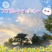 ヒメ日記 2025/11/13 20:50 投稿 みゆ 熟女の風俗最終章 蒲田店