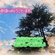 ヒメ日記 2025/11/16 15:04 投稿 みゆ 熟女の風俗最終章 蒲田店