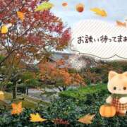 ヒメ日記 2025/11/16 15:10 投稿 みゆ 熟女の風俗最終章 蒲田店